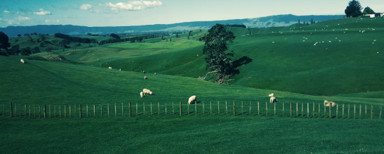 Perimeter Fence Detection